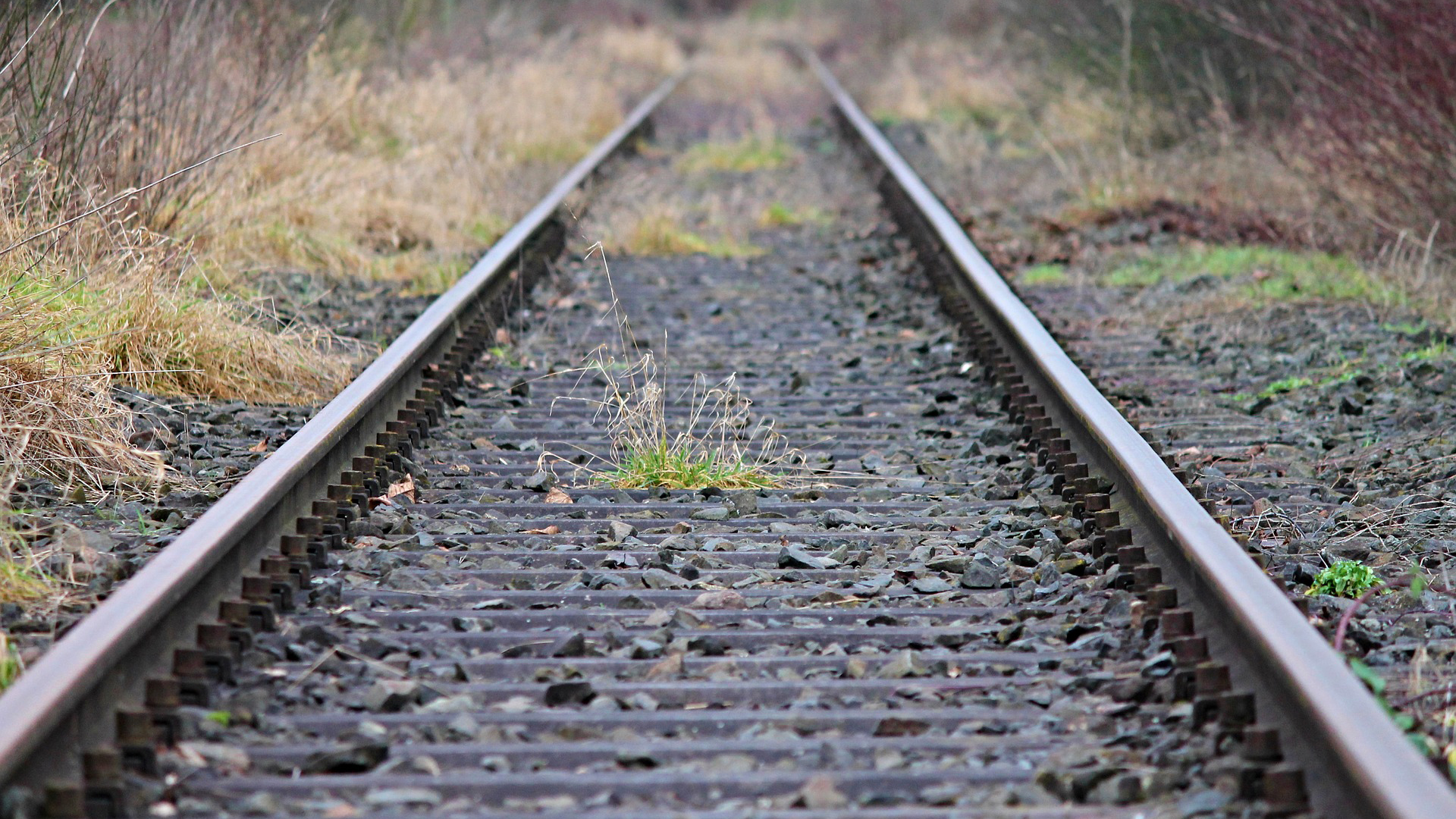 BE contra instalação de ecopista no ramal de Moura