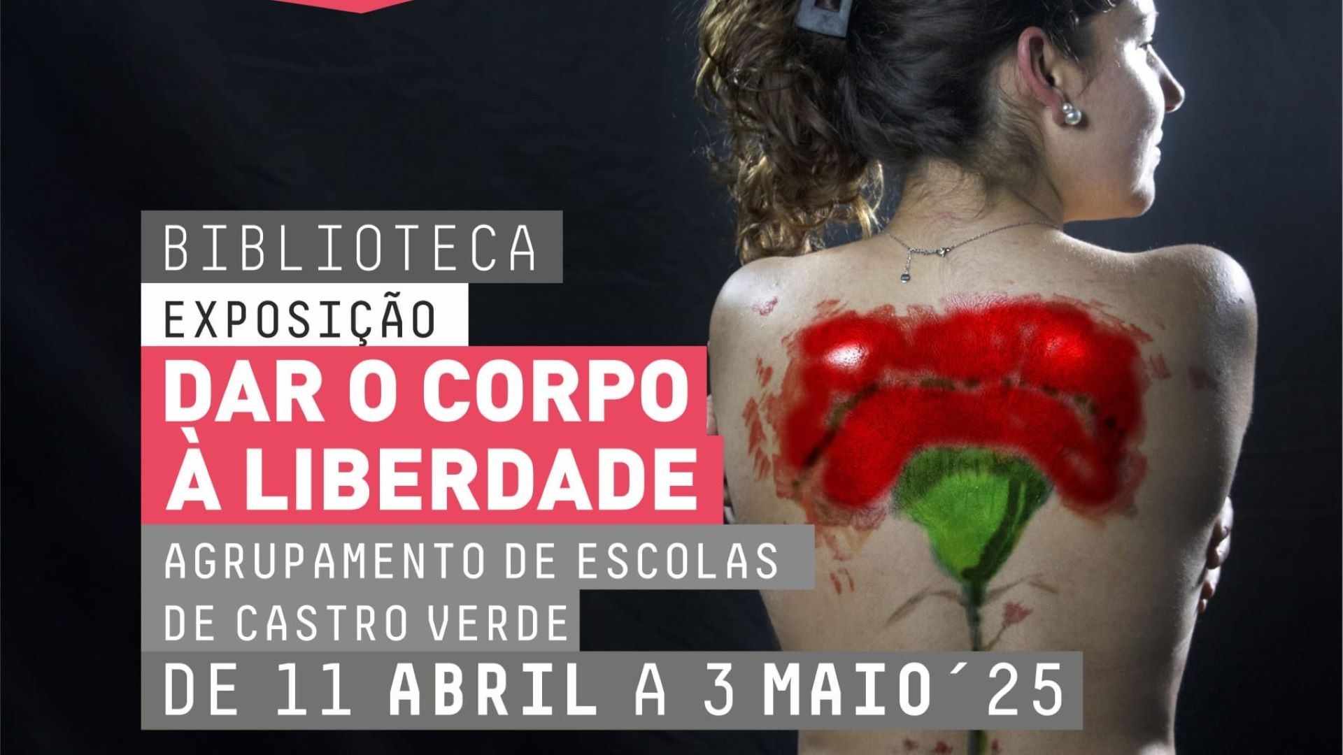 Alunos de Castro Verde expõem na Biblioteca de Beja